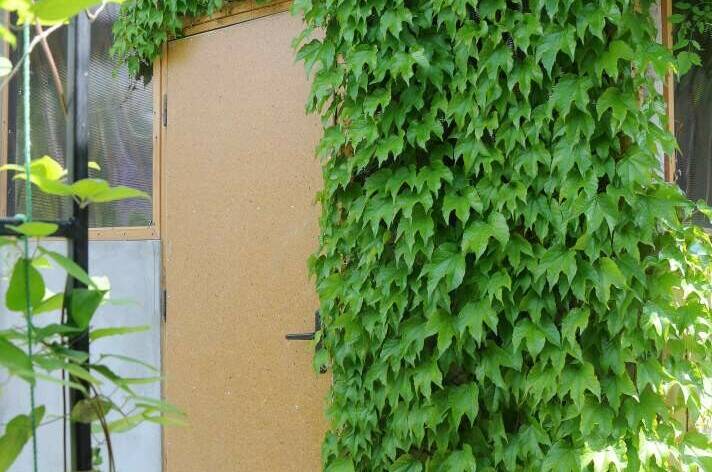 Изображение Изображение отеля / гостиницы "Гостевой дом «Домик у моря»" #10 #8