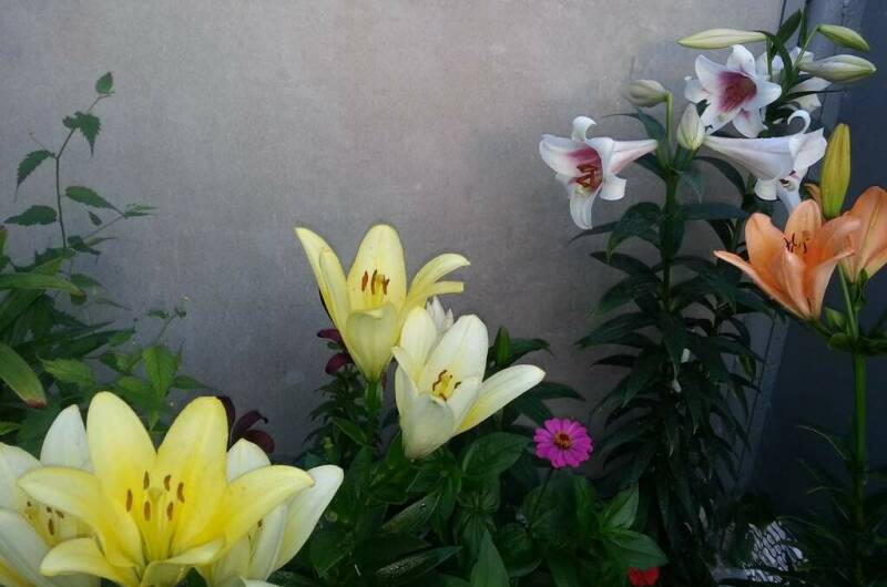 Изображение Изображение гостиницы "Гостевой дом на Школьной" #3 #3