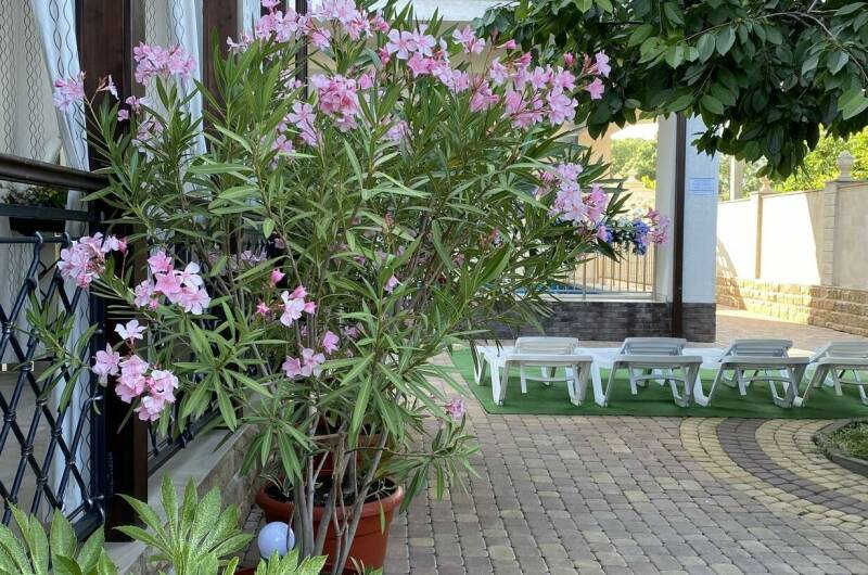 Изображение Изображение квартиры "Этаж дома под ключ от 6-9 человек" #6 #6