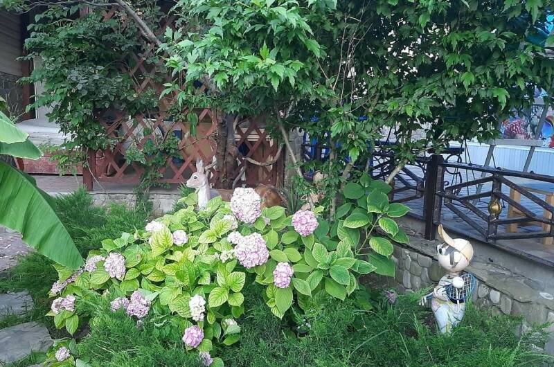 Изображение Изображение гостиницы "Частный сектор «Удача»" #4 #4