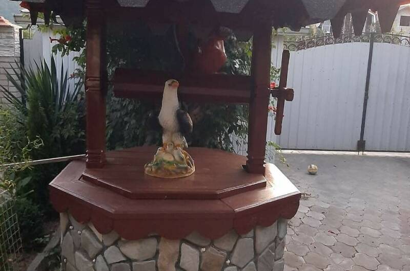 Изображение Изображение гостиницы "Частный сектор «Удача»" #8 #8