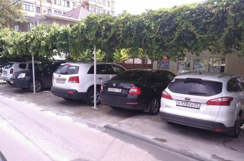 Изображение Изображение отеля / гостиницы "Гостевой дом «Дубрава»" #10 #8