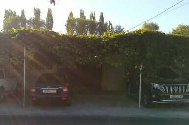 Изображение Изображение отеля / гостиницы "Гостевой дом «Дубрава»" #11 #9