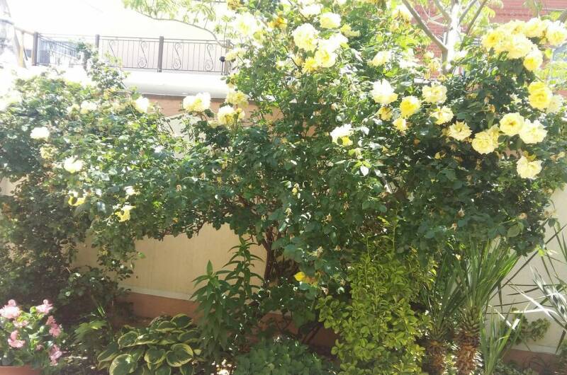 Изображение Изображение гостиницы &quot;Гостевой дом «Приветливый»&quot; #6 #6