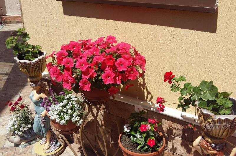 Изображение Изображение отеля / гостиницы "Гостевой дом «Приветливый»" #11 #9