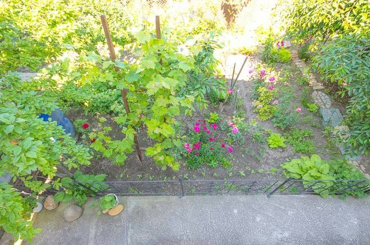 Изображение Изображение гостиницы "Гостевой дом «У Олега»" #5 #5