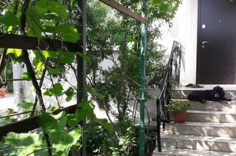 Изображение Изображение гостиницы "Гостевой дом «Добрый»" #3 #3