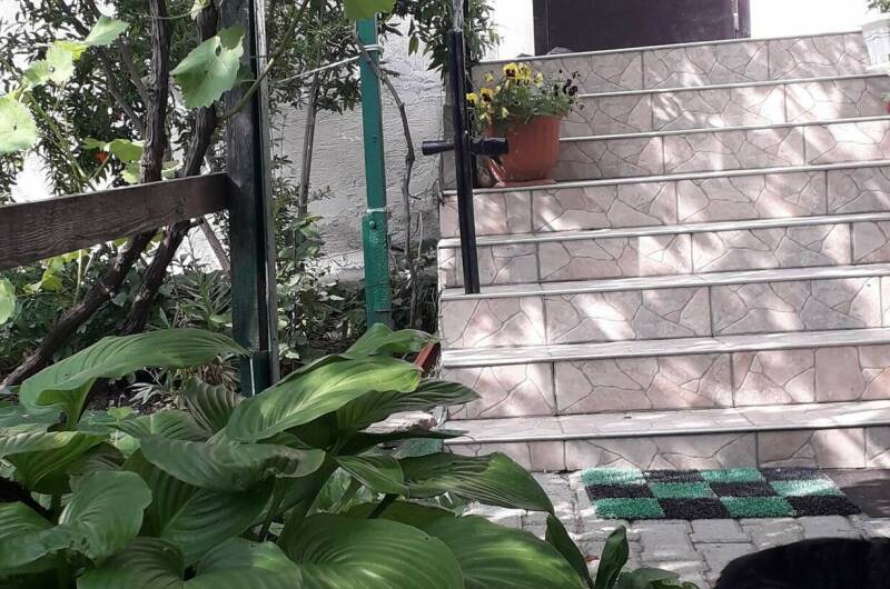 Изображение Изображение отеля / гостиницы "Гостевой дом «Добрый»" #10 #8