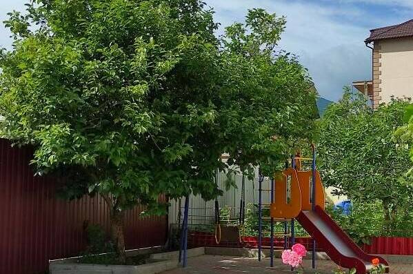 Изображение Изображение гостиницы "Гостевой дом «Орхидея»" #7 #7