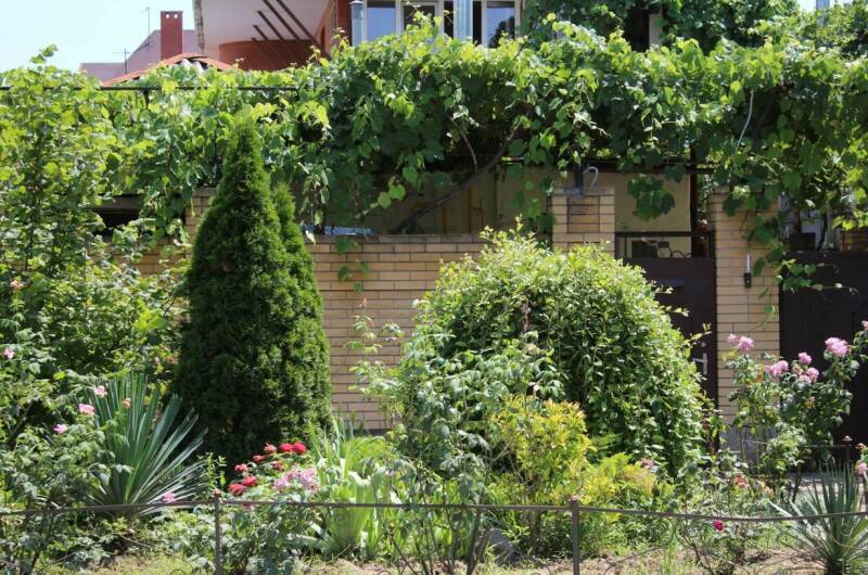 Изображение Изображение гостиницы "Гостевой дом «Виталина»" #3 #3