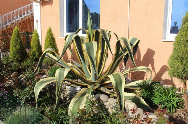 Изображение Изображение гостиницы "Гостевой дом «Возрождение»" #6 #6