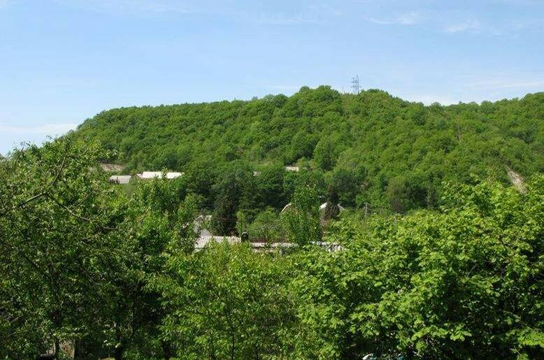 Изображение Изображение гостиницы &quot;Гостевой дом «Катюша»&quot; #6 #6