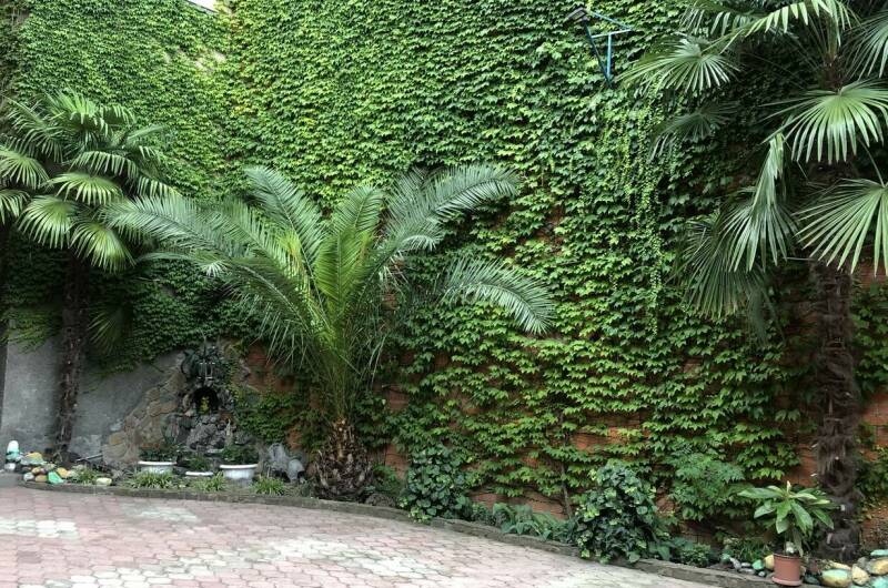 Изображение Изображение гостиницы &quot;Гостевой дом «Василек»&quot; #4 #4