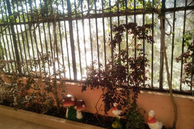 Изображение Изображение отеля / гостиницы "Гостевой дом «Рузана»" #10 #8