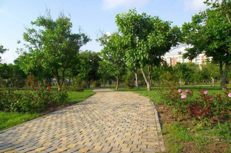 Изображение Изображение квартиры "Однокомнатная квартира на ул. Ивана Голубца" #8 #8