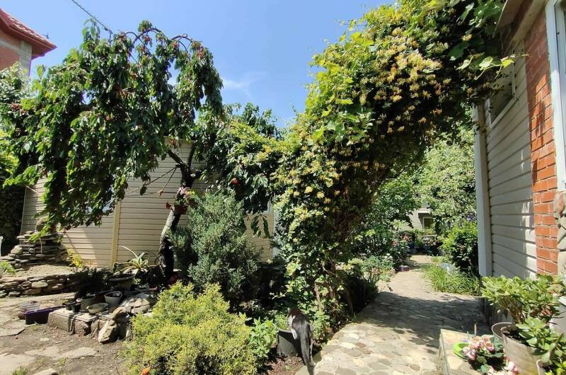 Изображение Изображение гостиницы "Гостевой дом «Алла-Роза»" #5 #5