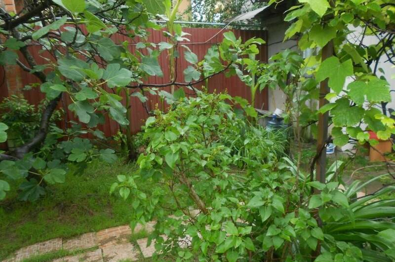 Изображение Изображение гостиницы "Гостевой дом «У Аркадия»" #4 #4