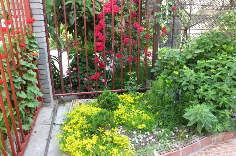 Изображение Изображение гостиницы "Гостевой дом «У Аркадия»" #5 #5