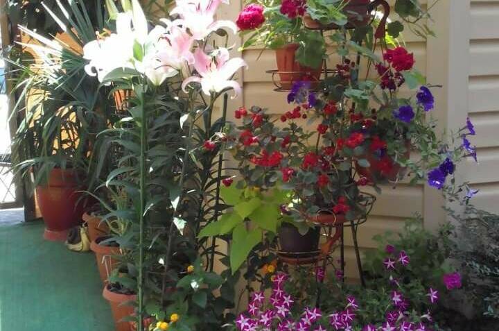 Изображение Изображение гостиницы "Гостевой дом «Уютный дом»" #4 #4