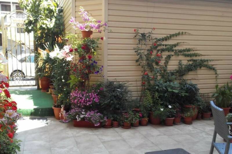 Изображение Изображение отеля / гостиницы "Гостевой дом «Уютный дом»" #11 #9