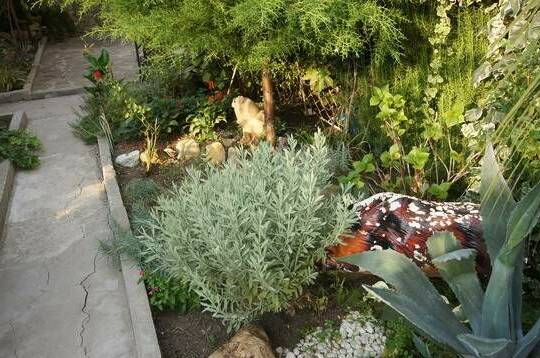 Изображение Изображение гостиницы "Гостевой Дом «У Богдана»" #5 #5