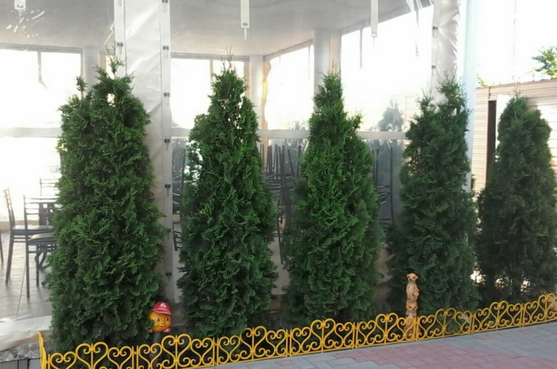 Изображение Изображение гостиницы "Гостевой дом «Рандеву»" #7 #7