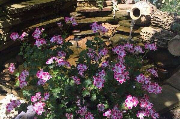 Изображение Изображение гостиницы "Мини-отель «Малибу»" #4 #4