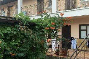 Изображение Гостевой дом на Луговой #6