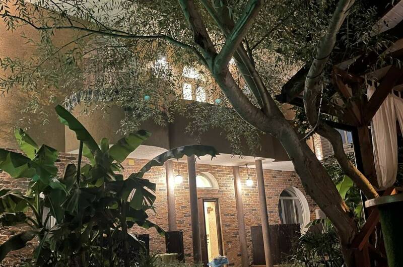 Изображение Изображение отеля / гостиницы "Гостевой дом «Панорама»" #11 #9