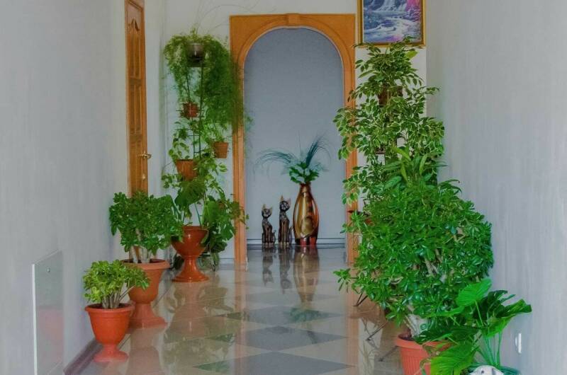 Изображение Изображение гостиницы "Гостевой дом «Бугаз»" #5 #5