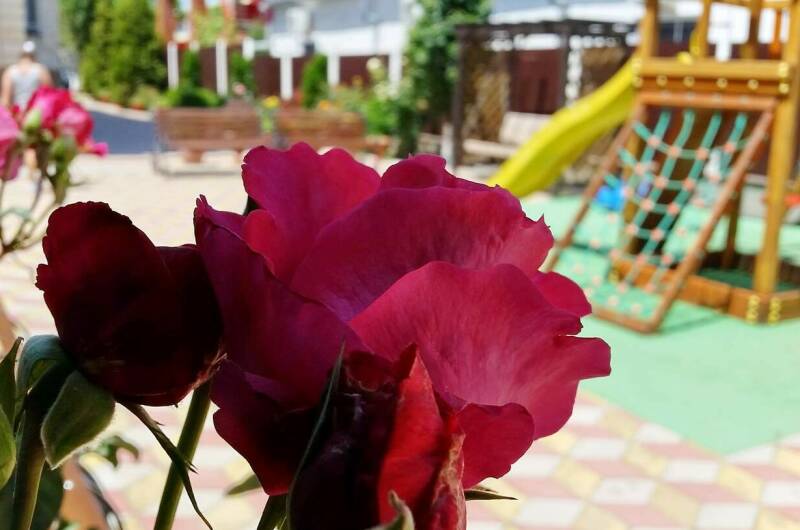 Изображение Изображение гостиницы "Гостевой дом «Бугаз»" #8 #8