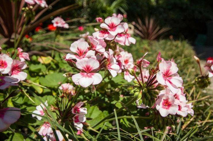 Изображение Изображение гостиницы "Гостевой дом «Лилия»" #4 #4