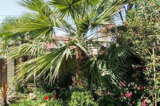 Изображение Изображение гостиницы "Гостевой дом «Лилия»" #8 #8