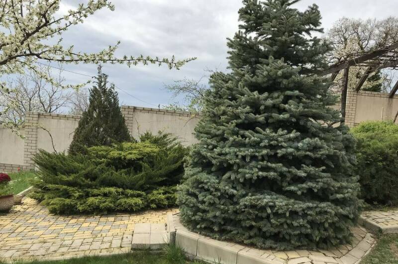 Изображение Изображение квартиры &quot;Дача под ключ «Испания»&quot; #3 #3