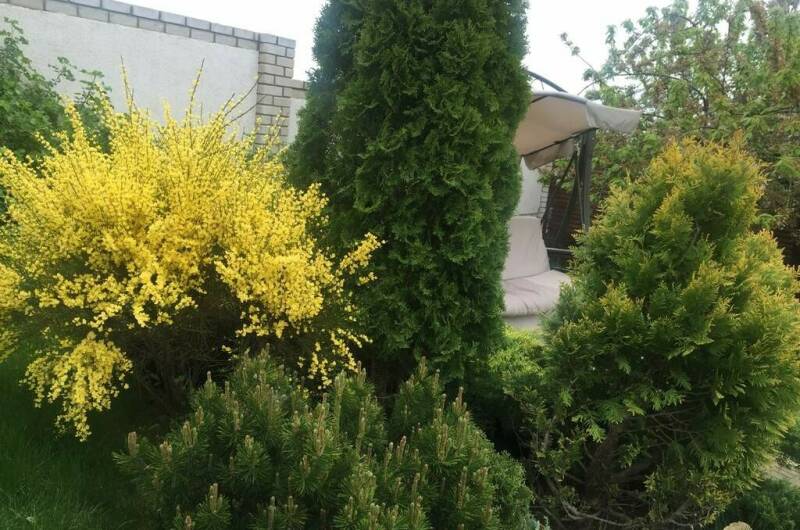 Изображение Изображение квартиры &quot;Дача под ключ «Испания»&quot; #4 #4