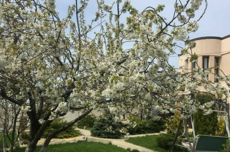 Изображение Изображение квартиры / апартамента "Дача под ключ «Испания»" #11 #9