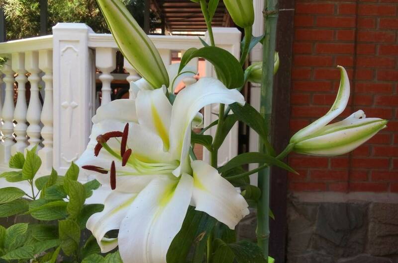 Изображение Изображение гостиницы &quot;Гостевой дом «11 регион»&quot; #3 #3