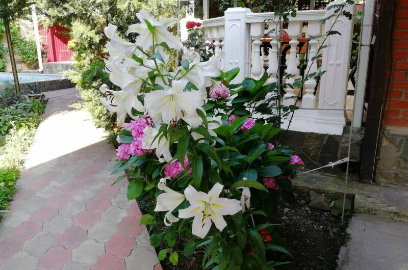 Изображение Изображение гостиницы &quot;Гостевой дом «11 регион»&quot; #6 #6