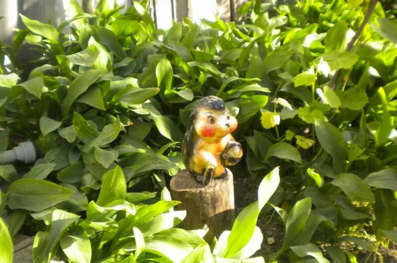 Изображение Изображение гостиницы &quot;Частный дом на Черноморской 4&quot; #2 #2