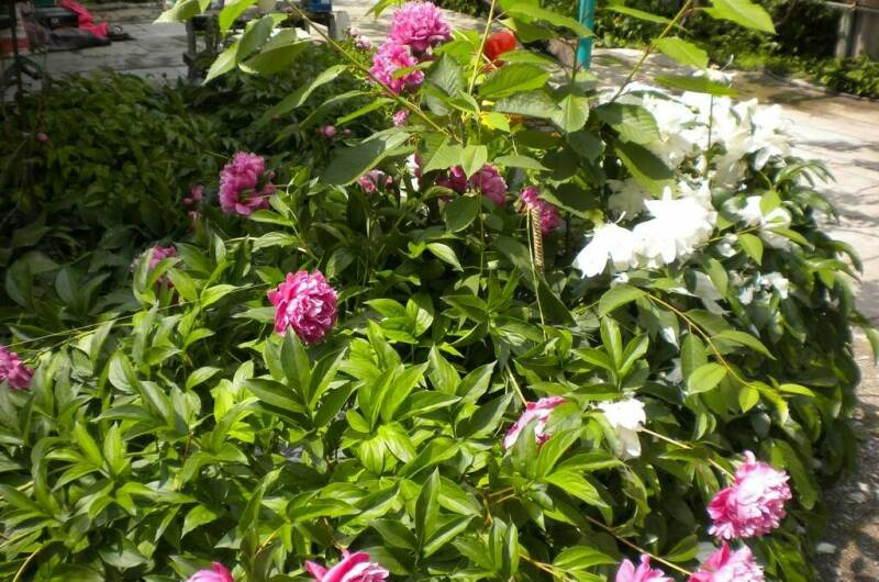 Изображение Изображение отеля / гостиницы "Частный дом на Черноморской 4" #10 #8