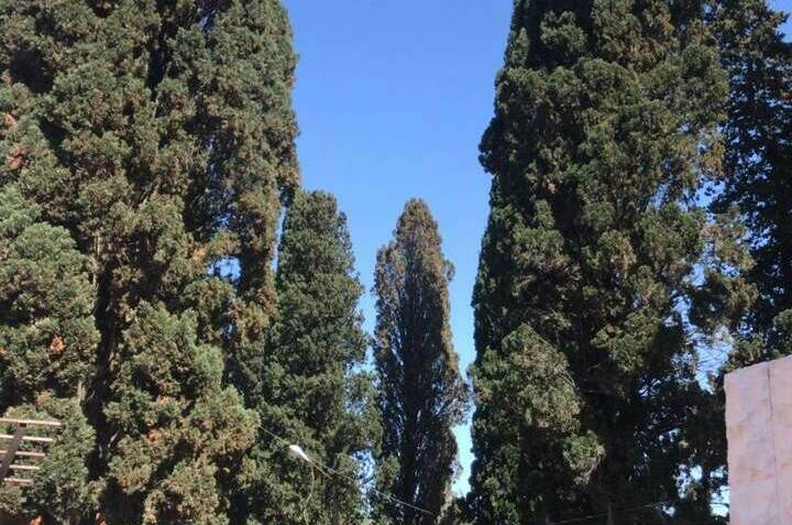 Изображение Изображение гостиницы &quot;Отель «Анна»&quot; #4 #4