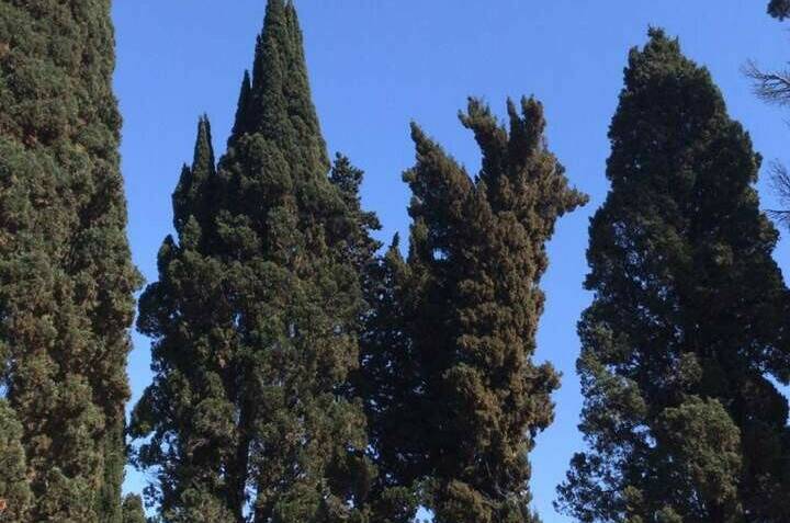 Изображение Изображение гостиницы &quot;Отель «Анна»&quot; #7 #7