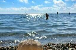 Изображение Изображение гостиницы "Гостевой дом «Абсолют»" #7 #7