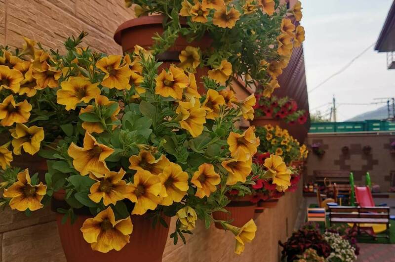 Изображение Изображение отеля / гостиницы "Гостевой дом «Абсолют»" #11 #9