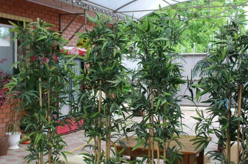 Изображение Изображение гостиницы &quot;Гостевой дом «У Яны»&quot; #4 #4