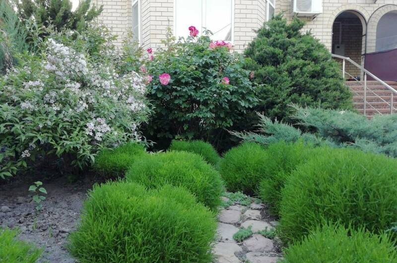 Изображение Изображение гостиницы &quot;Мини-гостиница «В гостях у гномов»&quot; #2 #2