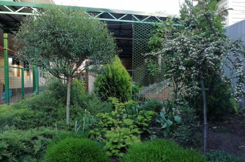 Изображение Изображение гостиницы &quot;Мини-гостиница «В гостях у гномов»&quot; #3 #3