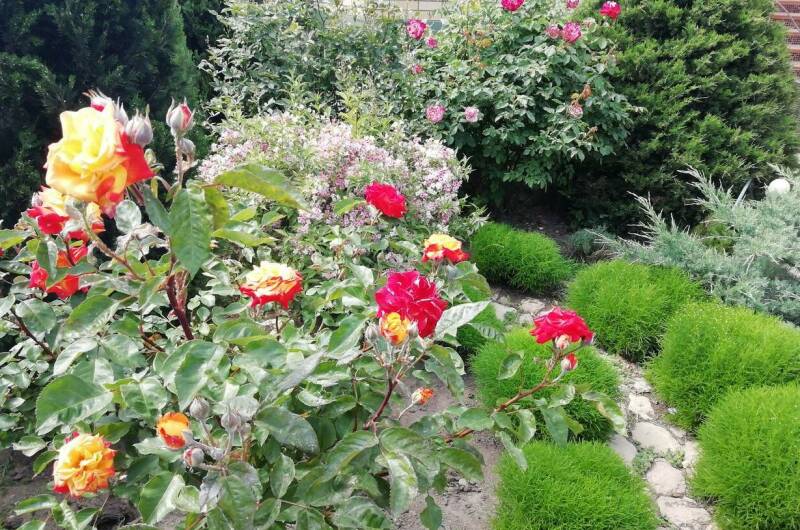 Изображение Изображение гостиницы &quot;Мини-гостиница «В гостях у гномов»&quot; #4 #4