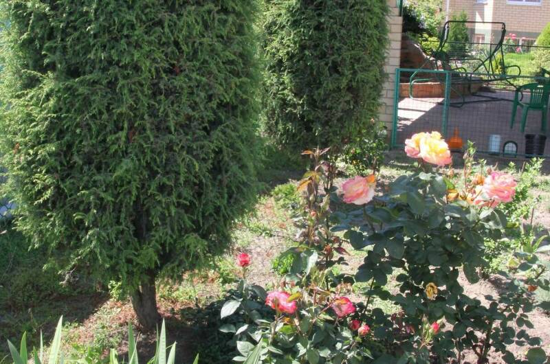 Изображение Изображение гостиницы &quot;Мини-гостиница «В гостях у гномов»&quot; #7 #7