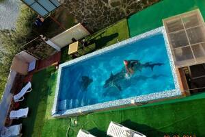 Дача «Сафари»